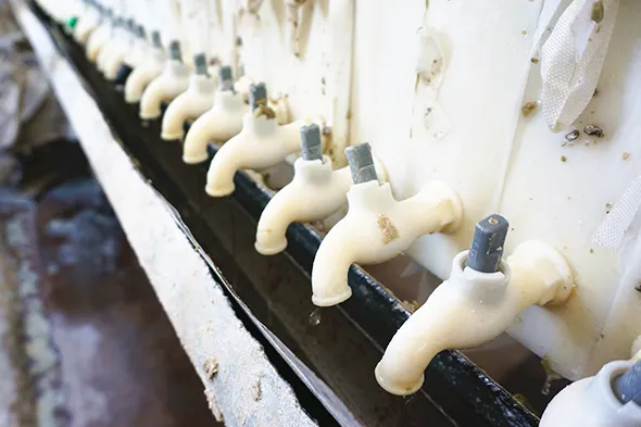 TIANJIN CREDIT INTERNATIONAL CO., LTD.